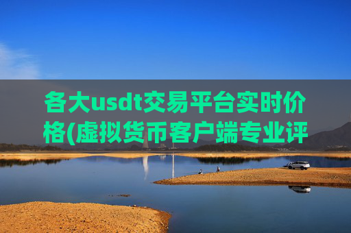各大usdt交易平台实时价格(虚拟货币客户端专业评测)