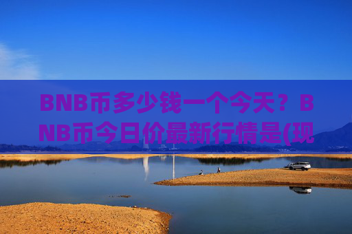 BNB币多少钱一个今天?BNB币今日价最新行情是(现价4853.26元)