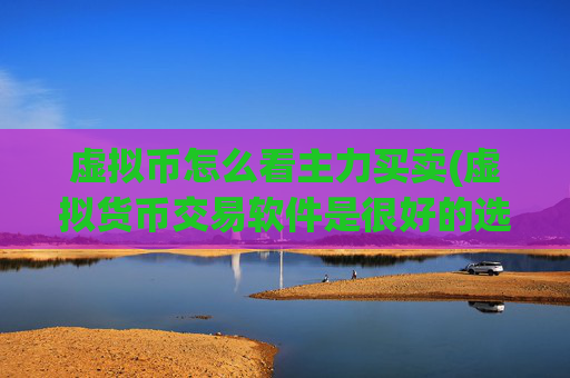 虚拟币怎么看主力买卖(虚拟货币交易软件是很好的选择)