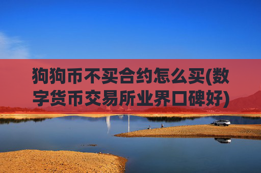 狗狗币不买合约怎么买(数字货币交易所业界口碑好)