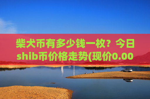 柴犬币有多少钱一枚?今日shib币价格走势(现价0.00023156元)