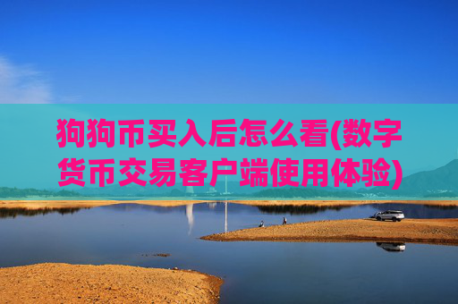 狗狗币买入后怎么看(数字货币交易客户端使用体验)