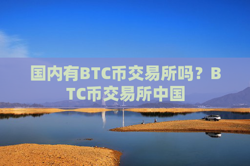 国内有BTC币交易所吗？BTC币交易所中国