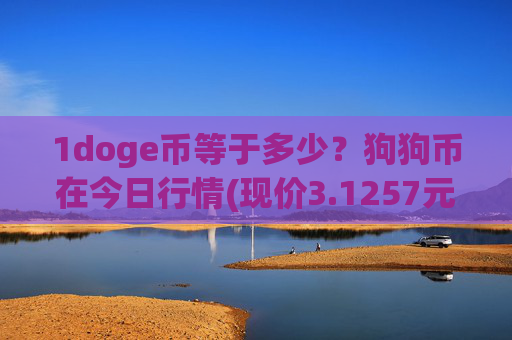 1doge币等于多少?狗狗币在今日行情(现价3.1257元)
