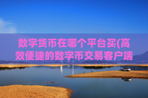 数字货币在哪个平台买(高效便捷的数字币交易客户端)