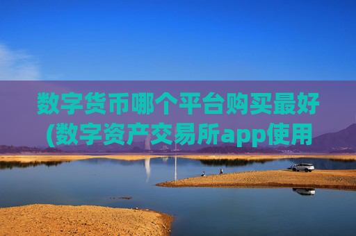 数字货币哪个平台购买最好(数字资产交易所app使用技巧)