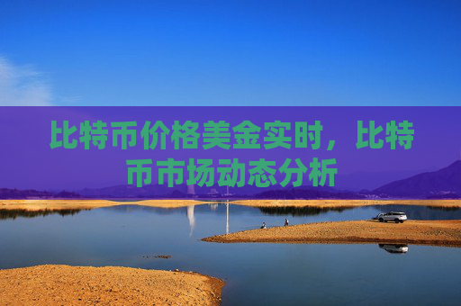 比特币价格美金实时,比特币市场动态分析