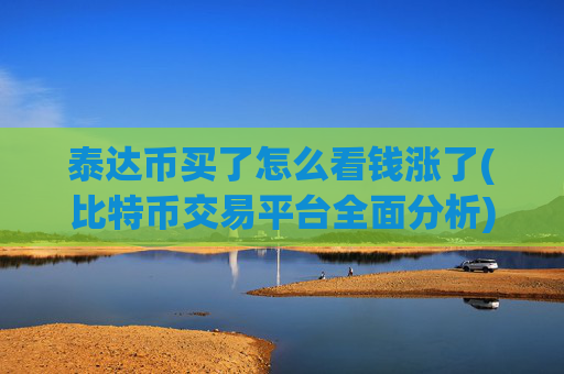 泰达币买了怎么看钱涨了(比特币交易平台全面分析)