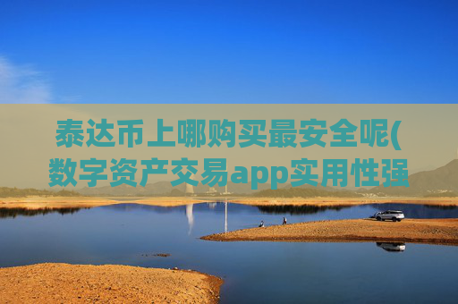 泰达币上哪购买最安全呢(数字资产交易app实用性强)