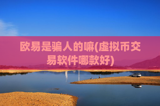 欧易是骗人的嘛(虚拟币交易软件哪款好)