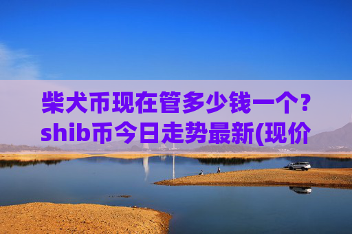 柴犬币现在管多少钱一个？shib币今日走势最新(现价0.00022698元)