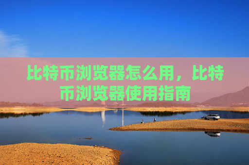 比特币浏览器怎么用，比特币浏览器使用指南
