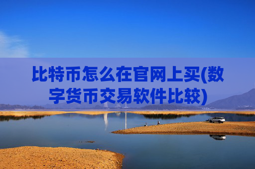 比特币怎么在官网上买(数字货币交易软件比较)