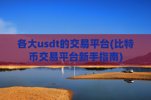 各大usdt的交易平台(比特币交易平台新手指南)