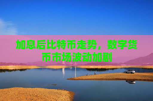 加息后比特币走势,数字货币市场波动加剧