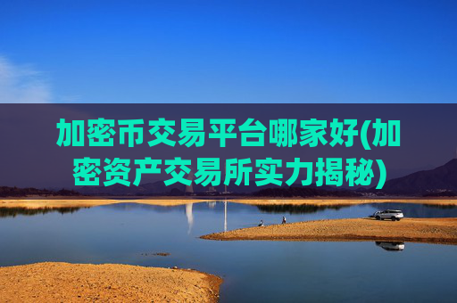加密币交易平台哪家好(加密资产交易所实力揭秘)