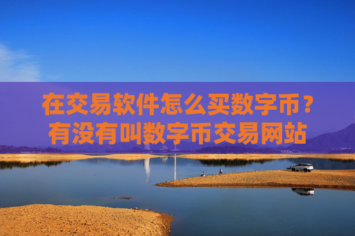 在交易软件怎么买数字币?有没有叫数字币交易网站