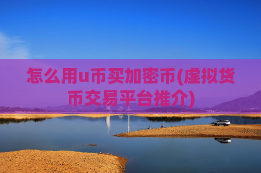 怎么用u币买加密币(虚拟货币交易平台推介)