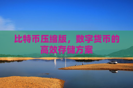 比特币压缩版,数字货币的高效存储方案