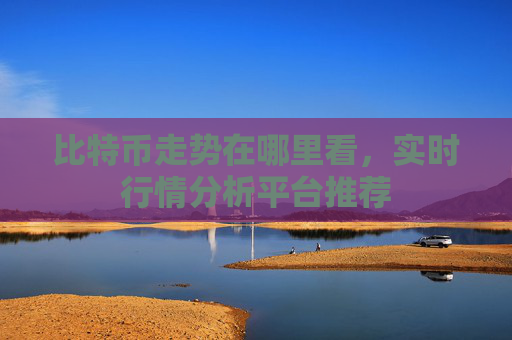 比特币走势在哪里看,实时行情分析平台推荐