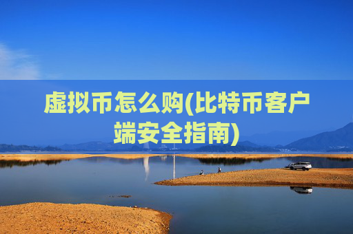 虚拟币怎么购(比特币客户端安全指南)