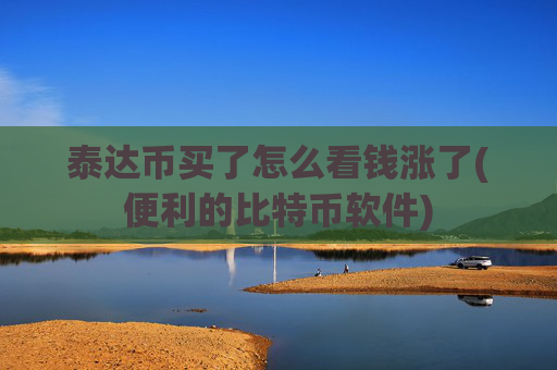 泰达币买了怎么看钱涨了(便利的比特币软件)