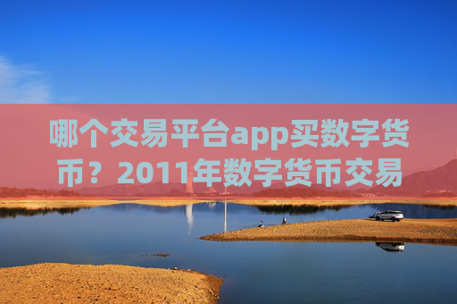 哪个交易平台app买数字货币?2011年数字货币交易app