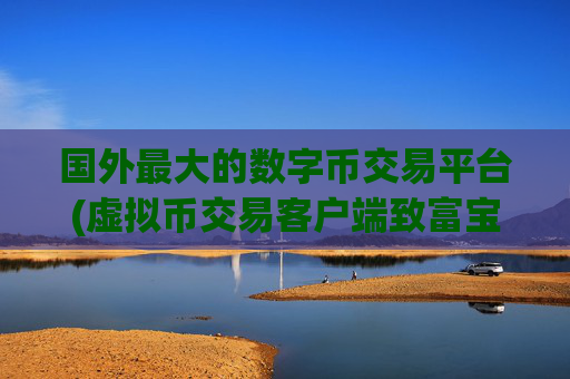 国外最大的数字币交易平台(虚拟币交易客户端致富宝)