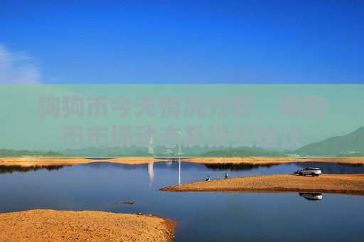 狗狗币今天情况分析,狗狗币市场动态及投资建议