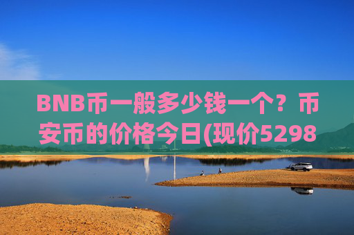 BNB币一般多少钱一个?币安币的价格今日(现价5298.08元)