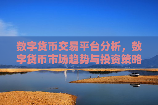 数字货币交易平台分析,数字货币市场趋势与投资策略