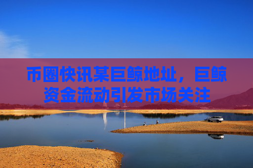 币圈快讯某巨鲸地址,巨鲸资金流动引发市场关注