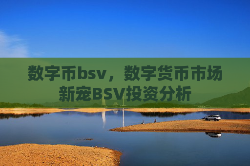 数字币bsv,数字货币市场新宠BSV投资分析
