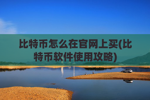 比特币怎么在官网上买(比特币软件使用攻略)