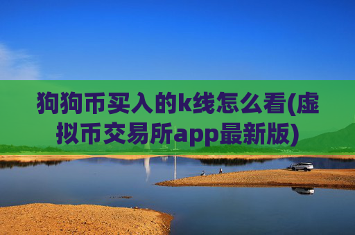 狗狗币买入的k线怎么看(虚拟币交易所app最新版)