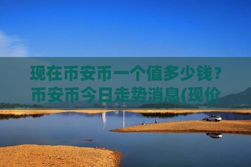 现在币安币一个值多少钱?币安币今日走势消息(现价4809.93元)