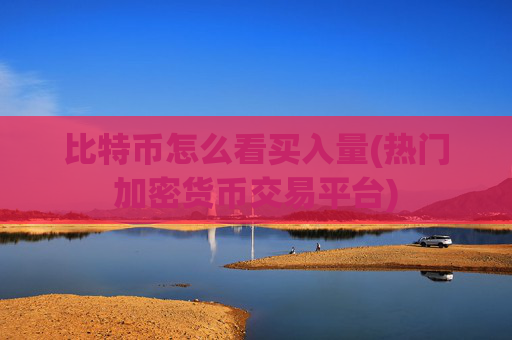 比特币怎么看买入量(热门加密货币交易平台)