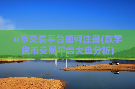 u币交易平台如何注册(数字货币交易平台大盘分析)