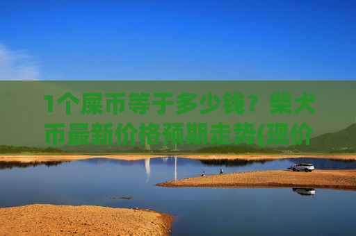 1个屎币等于多少钱？柴犬币最新价格预期走势(现价0.00023315元)