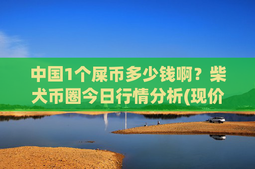 中国1个屎币多少钱啊？柴犬币圈今日行情分析(现价0.00023439元)