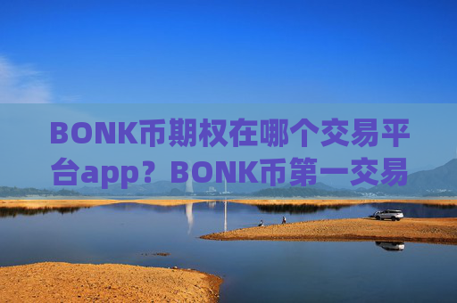 BONK币期权在哪个交易平台app？BONK币第一交易网站官方