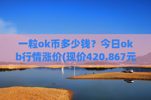 一粒ok币多少钱？今日okb行情涨价(现价420.867元)