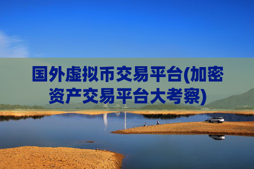 国外虚拟币交易平台(加密资产交易平台大考察)