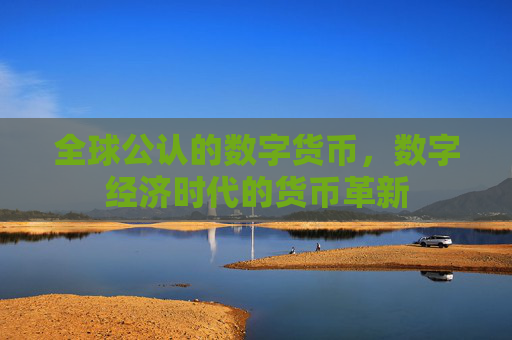 全球公认的数字货币,数字经济时代的货币革新