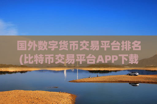 国外数字货币交易平台排名(比特币交易平台APP下载攻略)
