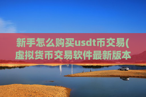 新手怎么购买usdt币交易(虚拟货币交易软件最新版本)