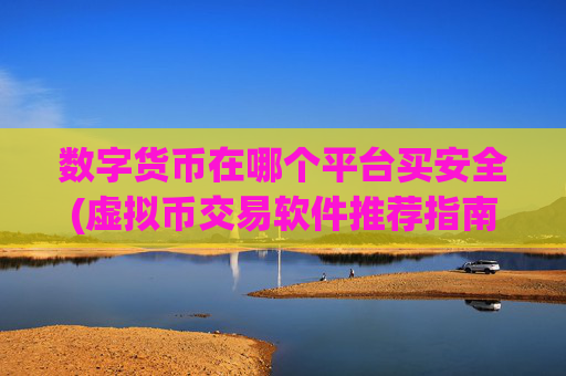 数字货币在哪个平台买安全(虚拟币交易软件推荐指南)