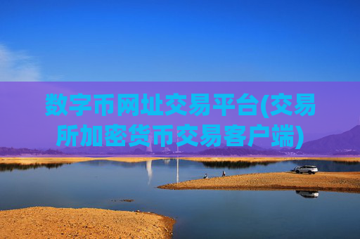 数字币网址交易平台(交易所加密货币交易客户端)