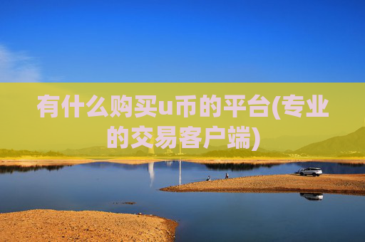 有什么购买u币的平台(专业的交易客户端)