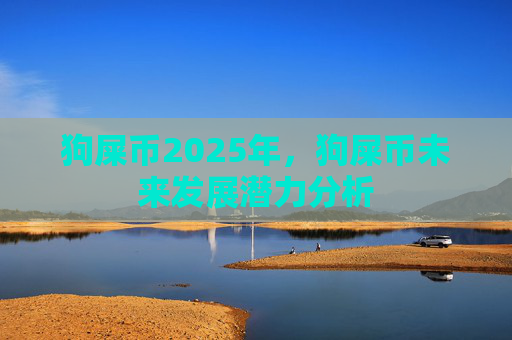狗屎币2025年,狗屎币未来发展潜力分析